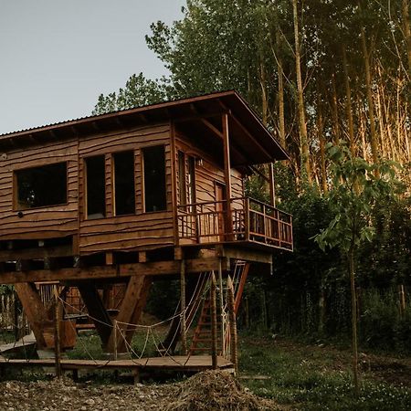 Bonita Cabana De Los Arboles En La Rioja , Durmiendo Entre Arboles Anguciana Bagian luar foto