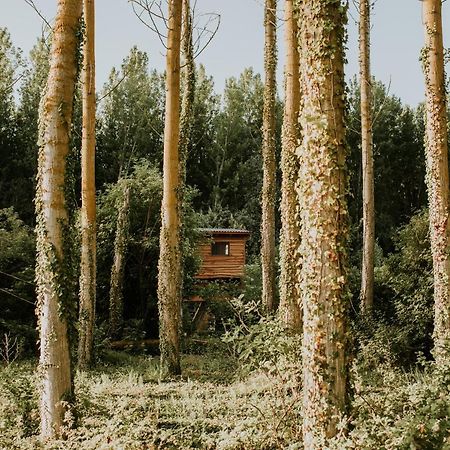 Bonita Cabana De Los Arboles En La Rioja , Durmiendo Entre Arboles Anguciana Bagian luar foto