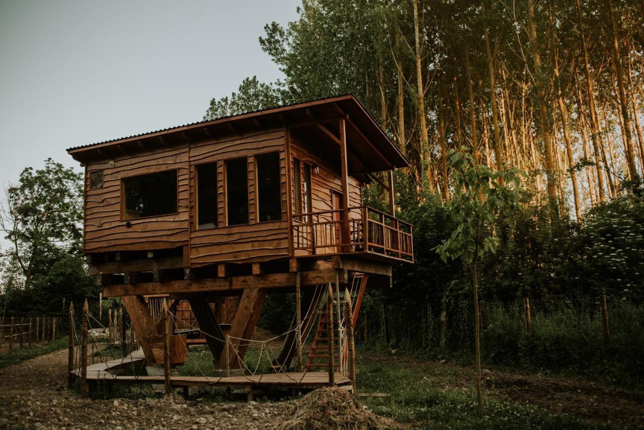Bonita Cabana De Los Arboles En La Rioja , Durmiendo Entre Arboles Anguciana Bagian luar foto
