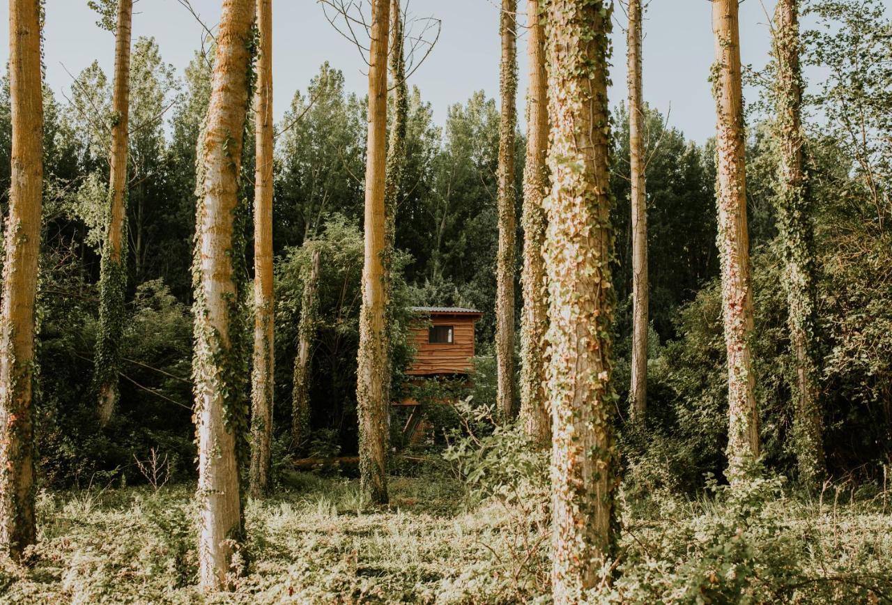 Bonita Cabana De Los Arboles En La Rioja , Durmiendo Entre Arboles Anguciana Bagian luar foto