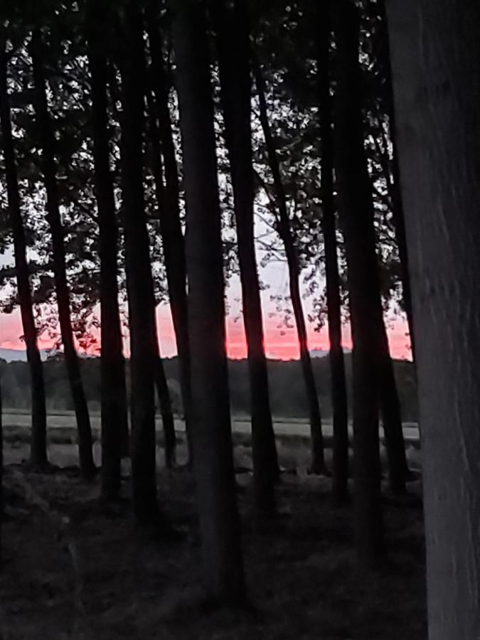 Bonita Cabana De Los Arboles En La Rioja , Durmiendo Entre Arboles Anguciana Bagian luar foto