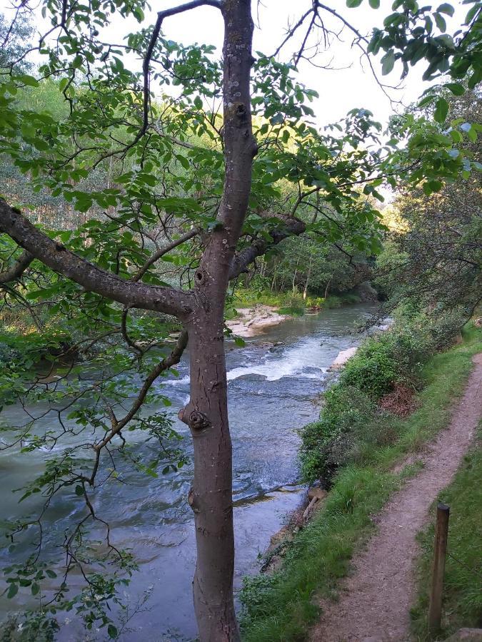 Bonita Cabana De Los Arboles En La Rioja , Durmiendo Entre Arboles Anguciana Bagian luar foto