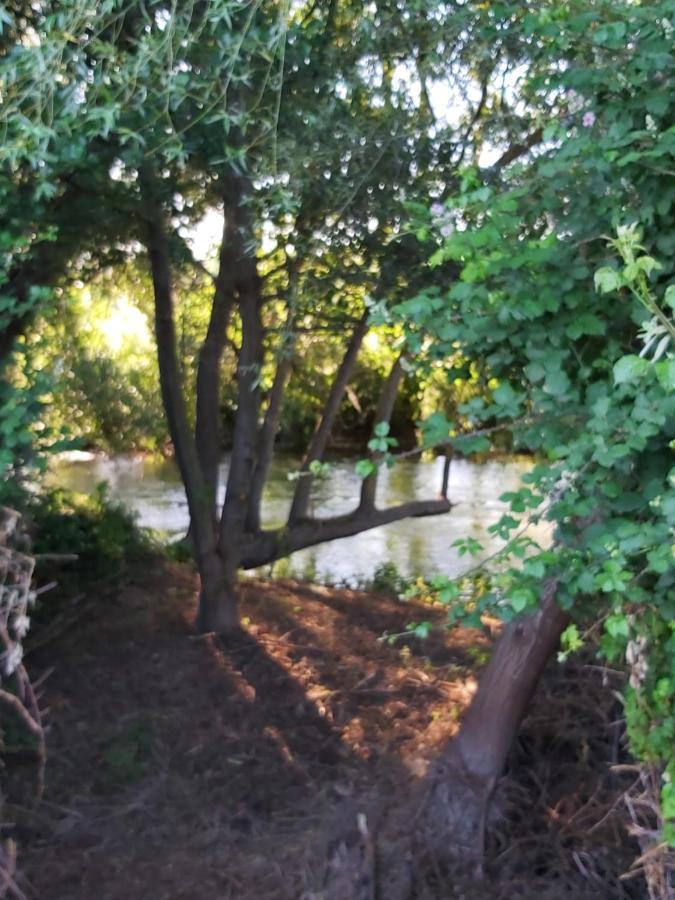 Bonita Cabana De Los Arboles En La Rioja , Durmiendo Entre Arboles Anguciana Bagian luar foto